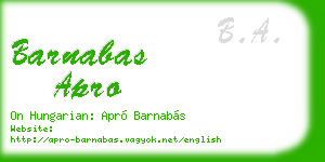 barnabas apro business card